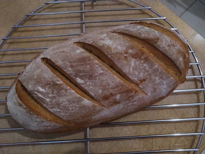Bloomer